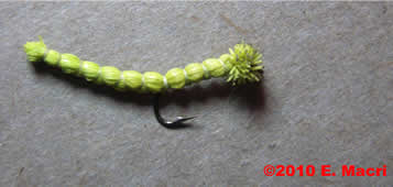 Terrestrial Fly Inchworm tied and photographed by Gene Macri